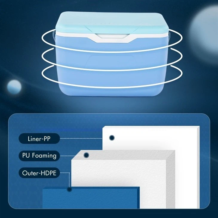 5.5L Mini Food Cooler Box